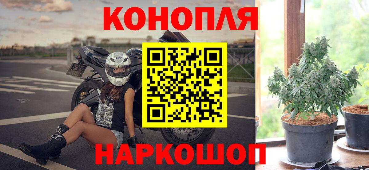 Конопля SATIVA & INDICA  МАРИХУАНА тримм  Вход с VPN  Красноярск  Шишки марихуана White Widow 